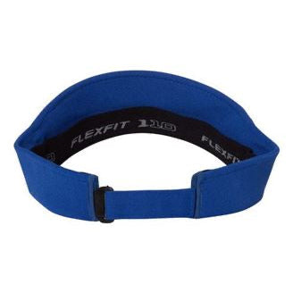 Dolphins Visor